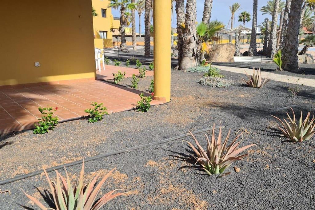 شقة Beautiful Garden Flat Nearly Refurbished Free Wifi كوراليهو المظهر الخارجي الصورة